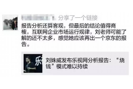 环县为什么选择专业追讨公司来处理您的债务纠纷？